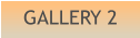GALLERY 2