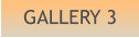 GALLERY 3