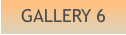 GALLERY 6