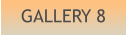 GALLERY 8