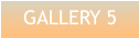 GALLERY 5