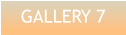 GALLERY 7