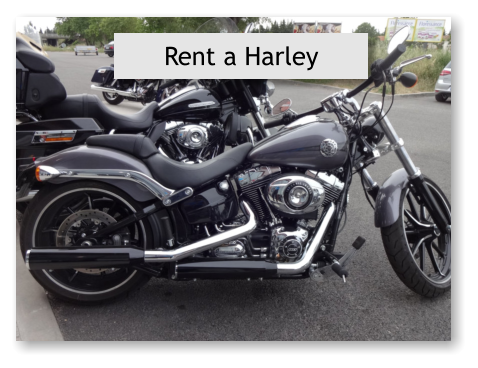 Rent a Harley