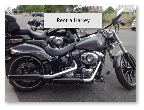 Rent a Harley