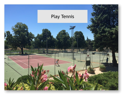 Play Tennis
