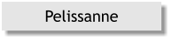 Pelissanne
